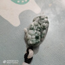 善缘泽天然a货翡翠玉貔貅吊坠男女款玉貔貅玉石玉坠项链挂件附证书 实拍图