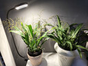 三思京东集采JC系列植物补光灯仿太阳全光谱 全光谱植物灯盆夹灯-12W 实拍图