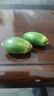 海南陵水新鲜青生槟榔果配选红汁荖叶发货嚼劲大海南槟榔生果 春果嫩果500克（16-24个） （槟榔+甜贝壳粉+荖叶） 实拍图