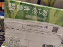 蒙牛【新鲜日期】全脂纯牛奶200ml*24盒 家庭送礼盒装 电商定制 实拍图