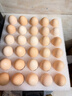 京鲜生 无抗保洁鲜鸡蛋30枚/盒 健康轻食 礼盒送礼 1.5kg/盒 源头直发 实拍图