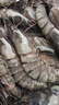 GUO LIAN国联 黑虎虾超大规格斑节虾无冰净重2斤 16-20只高虾青素虾类海鲜 实拍图