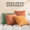 京东京造棉花糖抱枕 超柔棉棉绒沙发床头客厅办公室腰靠枕垫 灰色45x45cm 实拍图