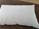 水星家纺枕头枕芯酒店枕头护颈枕头芯家用单个纯棉抗菌可水洗中枕48x74cm 实拍图