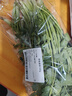 带根香菜100g 实拍图