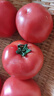 京鲜生 海阳普罗旺斯净重4.5斤单果180g起礼盒装 沙瓤西红柿 源头直发 实拍图
