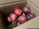 京鲜生 天水花牛苹果 2斤 单果170g+ 生鲜水果源头直发 实拍图