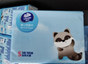 维达（Vinda）婴儿抽纸 3层100抽*24包S码 家庭装抽纸 婴儿可用 新旧随机 整箱 实拍图