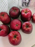 京鲜生 甘肃天水花牛苹果 又大又红 净重6斤 单果240g以上 生鲜水果  实拍图