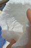 好奇（Huggies）铂金装小桃裤成长裤XXL74片(15kg以上)尿不湿【透爽散热】 实拍图