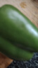 新鲜绿菜椒现摘山东圆椒青椒太空甜椒蔬菜灯笼椒生吃蔬菜沙拉 新鲜圆椒3斤 实拍图