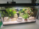 疯狂水草千层石头假山石英砂鱼缸造景石材适合米家鱼缸造景套餐全整套一体 实拍图