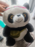 熊猫熊小熊猫玩偶毛绒玩具娃娃花花大公仔生日圣诞节礼物儿童陪睡布娃娃 实拍图