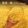 禾煜有机黄小米 2.5斤（小黄米 小米粥 五谷杂粮 粥米 真空装） 实拍图