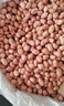 花生米 中小颗粒 新货生花生炸花生米煲汤做菜熬粥可发芽 花生米100g 体验装 实拍图