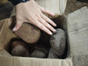 紫罗兰红薯沙地现挖紫薯宝宝辅食紫芋头山芋苕粗粮新鲜包邮 紫薯5斤大果 品质款 实拍图
