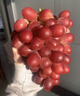 京觅四川无籽克伦生红提 净重3斤 新鲜葡萄水果水晶无籽葡萄 源头直发 实拍图