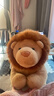 贝尚星可爱仿真狮子毛绒玩具动物园同款公仔玩偶抱枕送男孩女孩生日礼物 实拍图