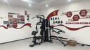 军霞（JUNXIA）综合训练器健身器材多功能一体机力量站健身器材家用健身房组合器 930N/72KG配重+40KG灌注片+单车 实拍图