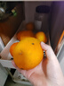 京觅福建软红心芭乐 番石榴 应季低糖净重4.5斤 单果150g  源头直发 实拍图
