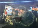 逸乐宠鱼缸背景贴纸背景画星空背景纸画高清图3立体壁纸壁画造景贴纸 150x80cm无胶 实拍图