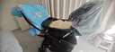 好孩子（gb）C450 婴儿车可坐可躺双向遛娃高景观易折叠宝宝婴儿推车 蓝色 实拍图