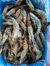 禧美海产 鲜冻黑虎虾 净重2斤装 40-50只/盒 单冻大虾 海鲜水产 送礼年货 实拍图