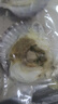 獐子岛 冷冻蒜蓉粉丝扇贝400g 12只 虾夷扇贝 烧烤食材 海鲜 生鲜 实拍图