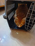 腆宠宠物航空箱小号 猫咪航空箱猫狗 猫包猫笼外出车载猫箱狗狗托运 实拍图