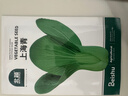 北蔬 上海青种子种苗小油菜秋四季抗热盆栽蔬菜种籽 上海青种子2000粒 实拍图