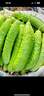 京鲜生 海阳白玉黄瓜 净重3斤 生吃水果黄瓜 新鲜现摘减脂餐 源头直发 实拍图