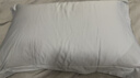康尔馨枕芯 希尔顿100s五星级酒店羽绒枕A类95%白鹅绒枕头 单只 74*48cm 实拍图