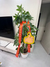 叹为观止大型植物发财树各种大颗盆栽开业乔迁客厅办公室内好养大型花卉 三杆发财树【1.6-1.8米】 含盆 实拍图
