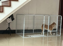 憨憨宠狗围栏宠物狗狗围栏室内狗栅栏折叠拆卸狗笼子小中大型犬猫咪护栏 白色 120*60*60CM*6片 卡扣围栏 实拍图