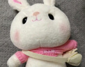 爱尚熊兔子玩偶毛绒玩具小女孩布娃娃儿童女生生日礼物女陪睡觉抱枕公仔 实拍图