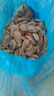 三只海豚 大号熟冻北极甜虾净重3斤 90/120规格 部分带籽 冰虾 海鲜水产 实拍图