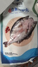 仙泉湖三去白蕉海鲈鱼1斤/条净膛冷冻刺少肉厚珠海特产500g生鲜食材 实拍图