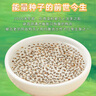 十月稻田 奇亚籽 400g 免洗即食 代餐饱腹 高蛋白膳食纤维 酸奶轻食伴侣 实拍图