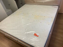 喜临门乳胶椰棕床垫抗菌防螨独袋弹簧床垫 梦蝶旗舰版1.8x2米 软硬适中 实拍图