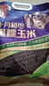 十月稻田 黑糯玉米 3.52斤(220g*8根) 东北玉米 杂粮粗粮 低脂早餐 实拍图