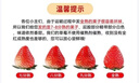 JDBMO丹东99草莓特大果多地次日达红颜奶油水果礼盒圣诞节礼物送女生 3斤商超A级果【20-30g】净2.8斤 实拍图