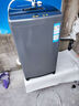 Haier海尔波轮洗衣机全自动8/10公斤大神童大容量租房家用神器升级除菌除螨洗柔护内筒以旧换新补贴统帅 8公斤双侧仿生过滤器+15分钟速洗+强力洗+桶自洁 实拍图