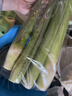 【山野寻鲜】安溪茭白400g 实拍图