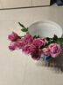 云南鲜花批发品质玫瑰百合水养鲜切花送女友水养鲜花源头直发 紫玫瑰-10支（花苞小不定品种） 【任选2件—不收运費】 实拍图