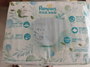 帮宝适超薄透气清新帮透氧Pro新生儿婴儿纸尿裤尿不湿尿片尿布NB66 实拍图