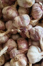 京鲜生河南杞县大蒜带皮新鲜干蒜净重3斤单果5.5-6cm 源头直发包邮 实拍图