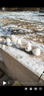 欣格雪球夹沙滩玩具儿童玩雪工具套装夹子堆雪人模具打雪仗夹雪神器 实拍图