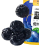 三只松鼠每日蓝莓干500g 蜜饯果干酸甜休闲零食下午茶孕妇儿童健康零食 实拍图