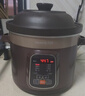 九阳（Joyoung）快炖电炖锅电炖盅电砂锅炖紫砂锅燕窝炖盅煮粥锅直炖5L大容量多功能锅 可预约保温GD506 实拍图