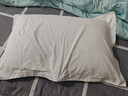 富安娜家纺酒店枕头低枕纯棉面料枕芯成人学生枕恬心枕低枕 74*48cm 实拍图